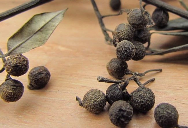 馬告香料 馬告香料