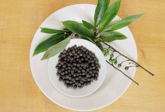 馬告使用禁忌 馬告使用禁忌