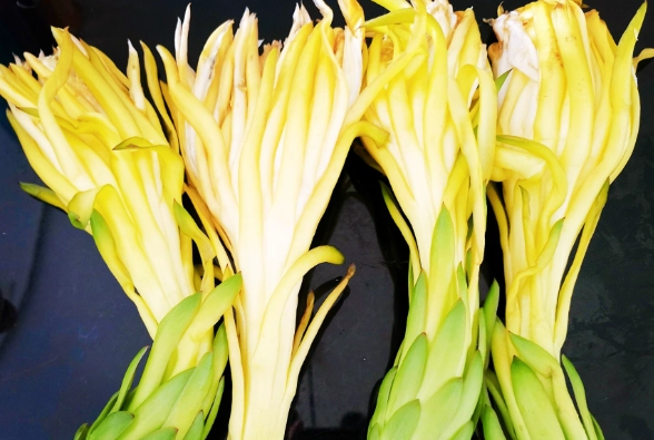 霸王花料理 霸王花料理