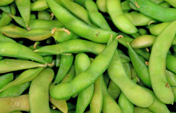 毛豆熱量怎麼算