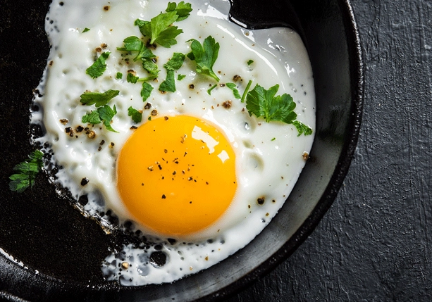 減脂 飲食 蛋黃 減脂 飲食 蛋黃