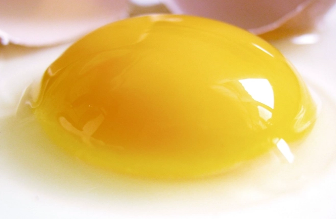 減肥 吃 蛋黃 減肥 吃 蛋黃