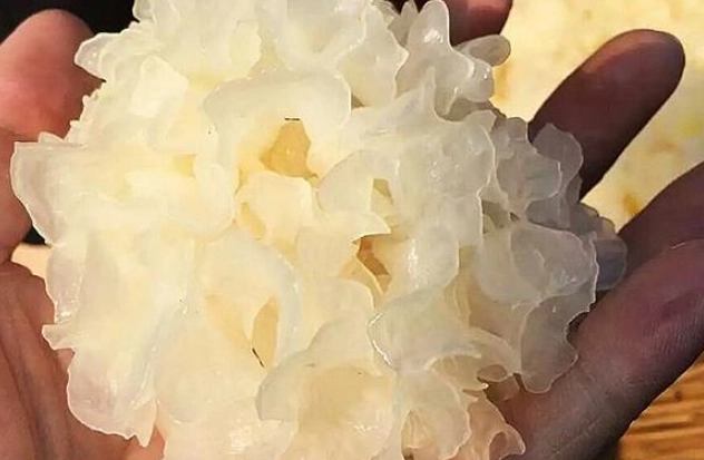 雪耳食用禁忌