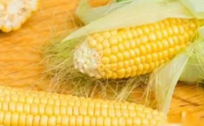 玉米禁忌