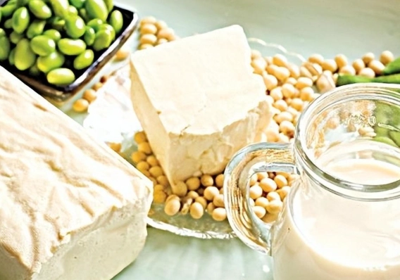 嫩豆腐蛋白質