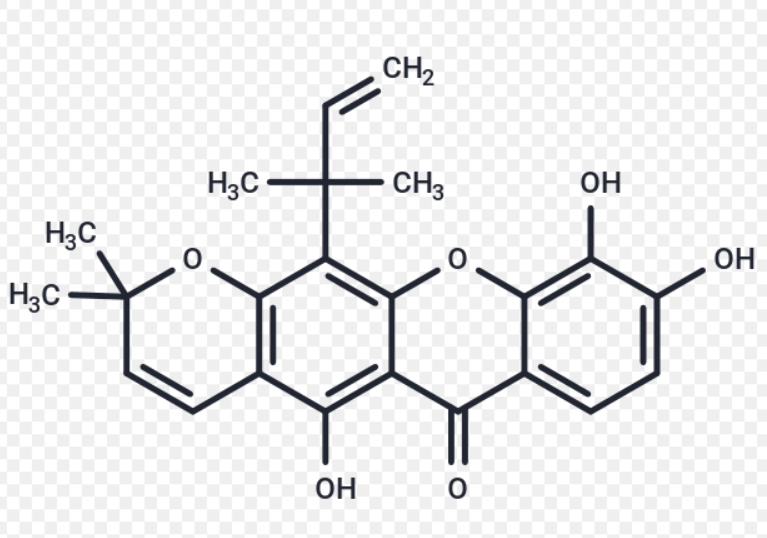 桑樹提取物副作用 桑樹提取物副作用