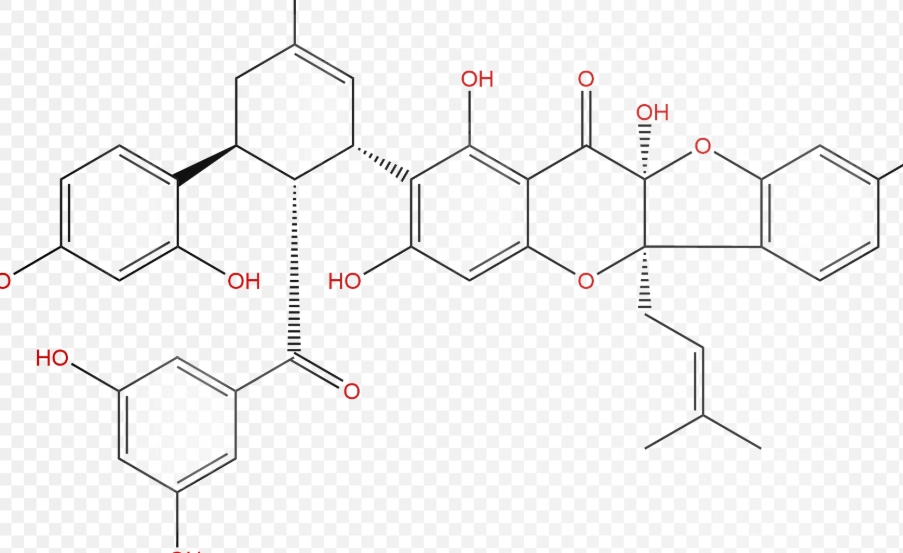 桑樹提取物副作用 桑樹提取物副作用