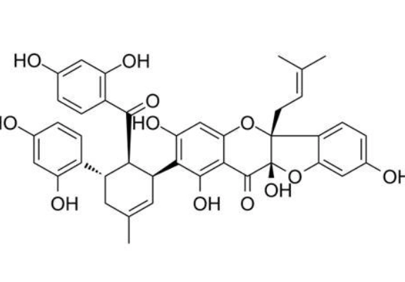 桑酮功效 桑酮功效