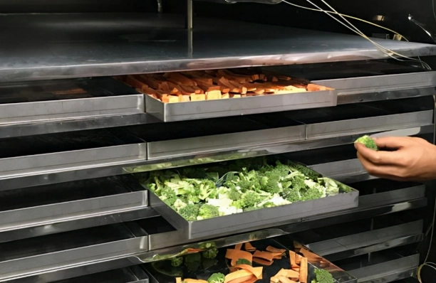 食物乾燥機 推薦 新手