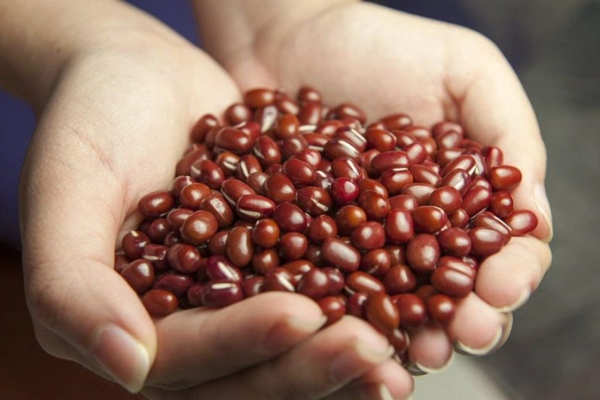 煮紅豆前水要倒嗎