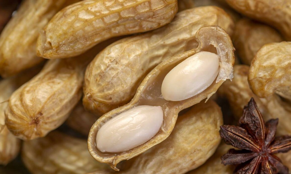 花生保存技巧