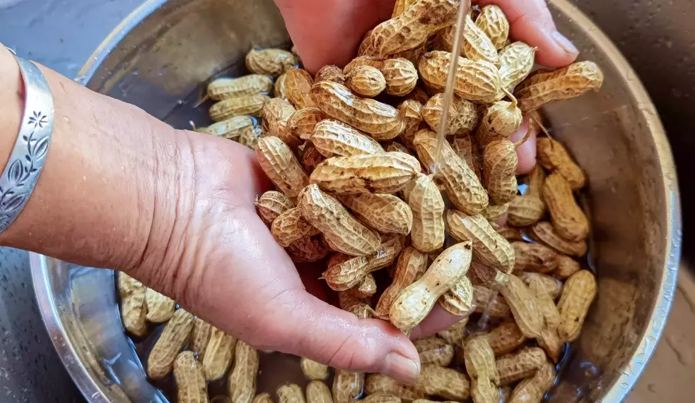 水煮花生冷藏方法