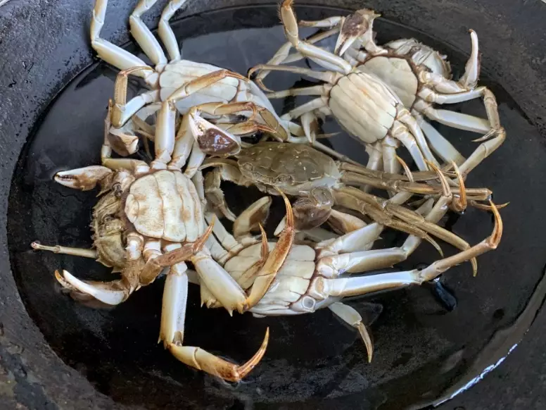 蟹甩腳 吃法