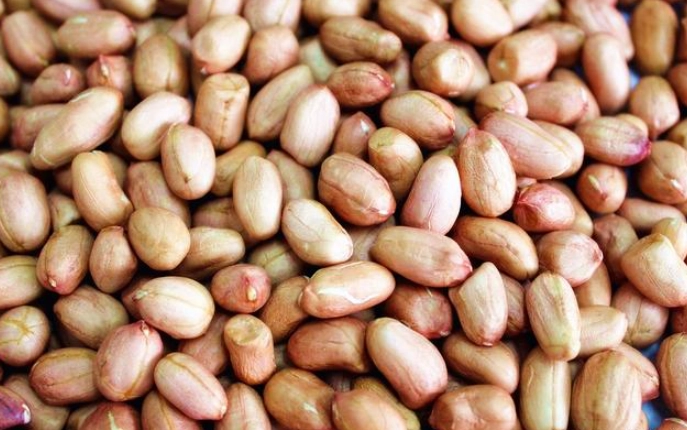 外面賣蒸花生如何保存