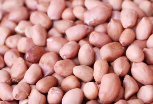 花生冷藏期限 花生冷藏期限