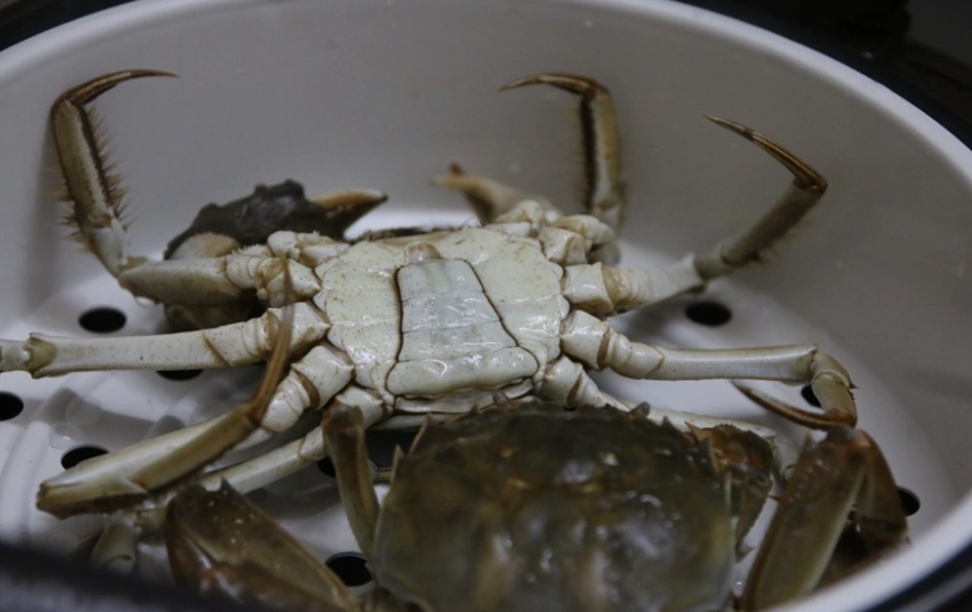 大閘蟹怎麼處理