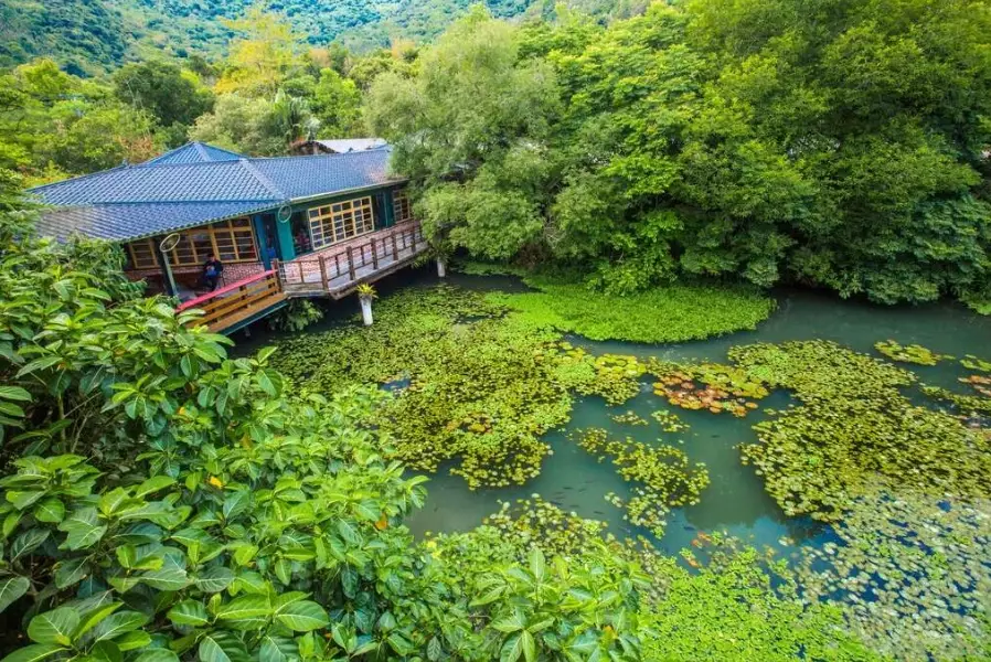 馬太鞍溼地 生態體驗 馬太鞍溼地 生態體驗