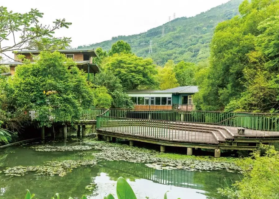 馬太鞍溼地 生態體驗 馬太鞍溼地 生態體驗