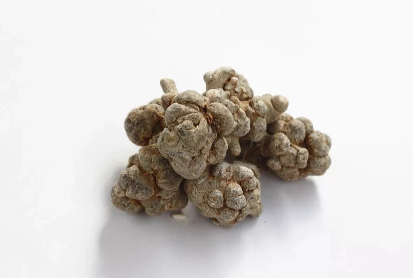 三七粉副作用有哪些