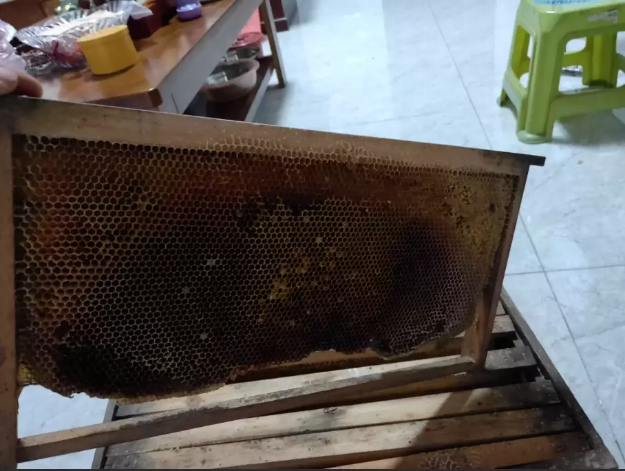 蜂蠟使用注意事項