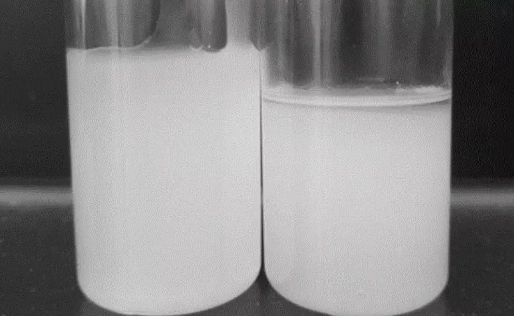 食品乳化劑替代