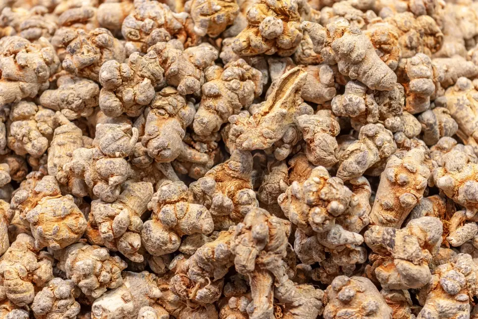 三七粉副作用 三七粉副作用