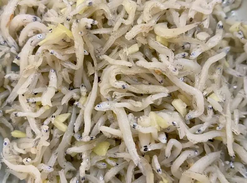 吻仔魚 食用禁忌