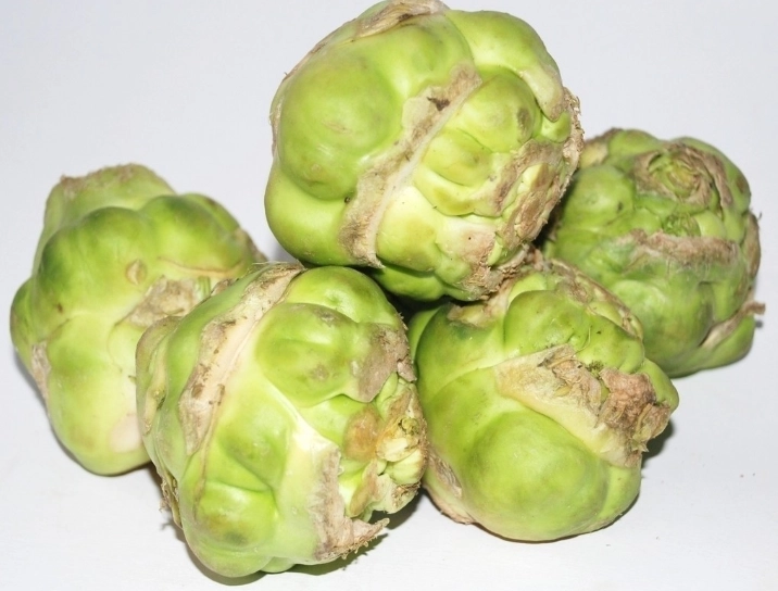 榨菜製作 榨菜製作