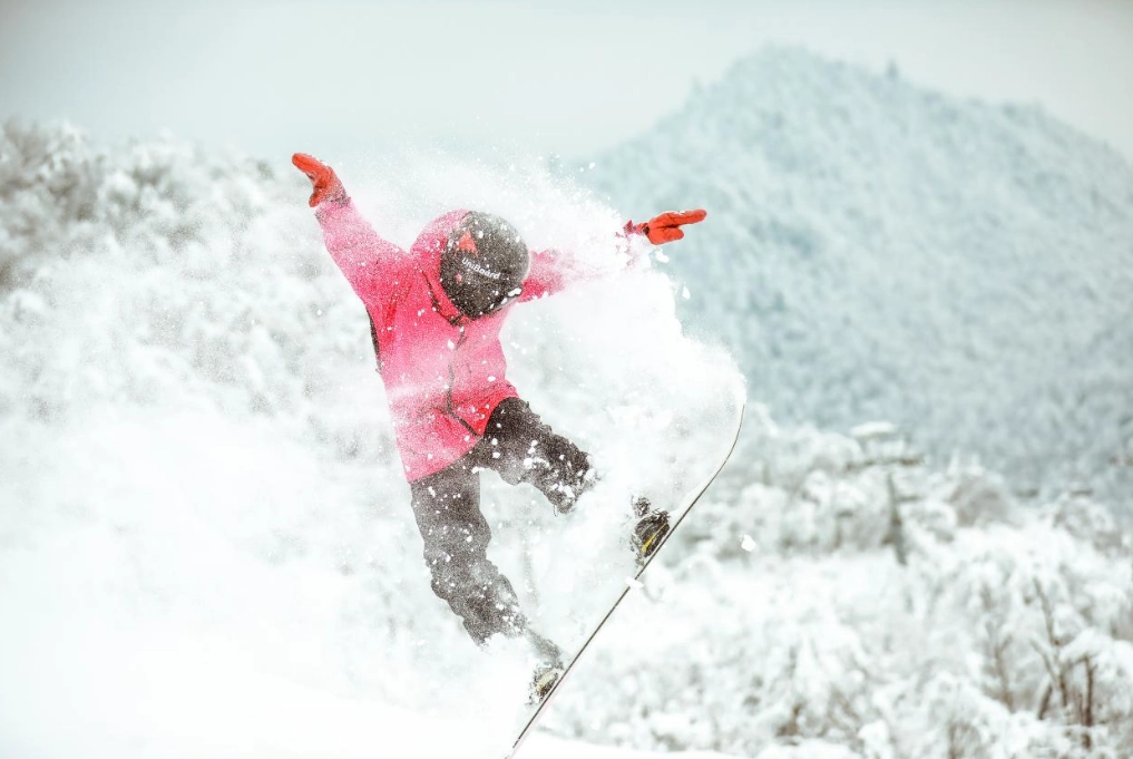岩手縣冬天旅遊