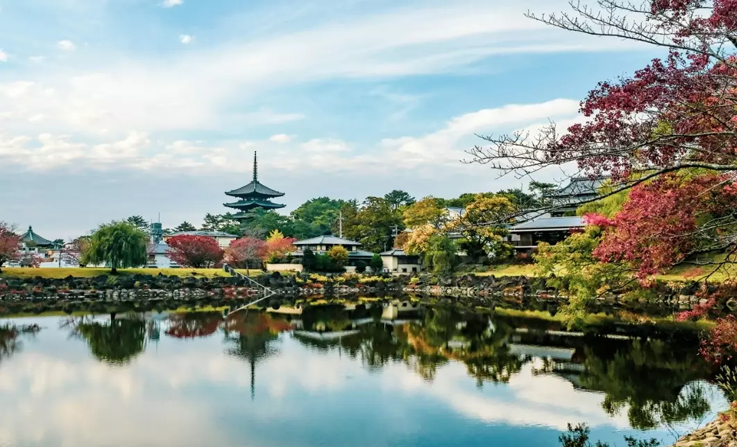 奈良半日遊交通 奈良半日遊交通