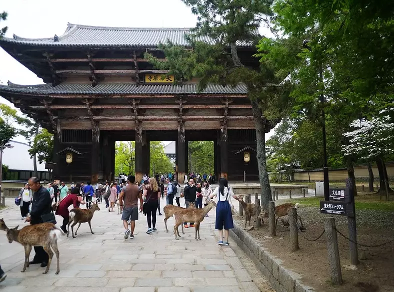 奈良交通攻略 奈良交通攻略