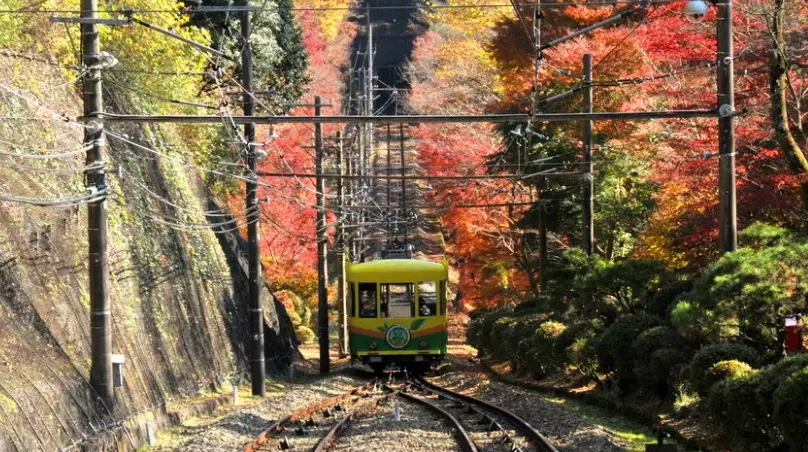 高尾山 前往 方式