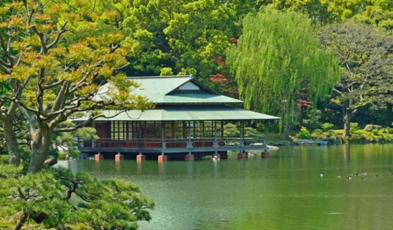 清澄庭園 門票 清澄庭園 門票