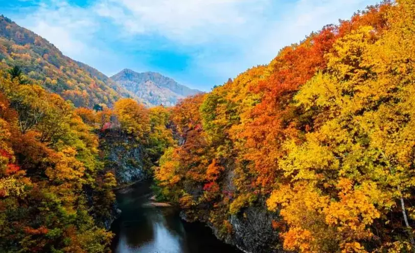 定山溪自駕路線