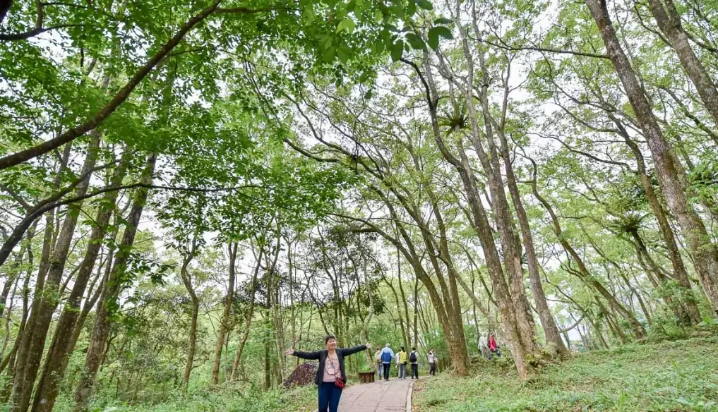 那瑪夏景點 那瑪夏景點