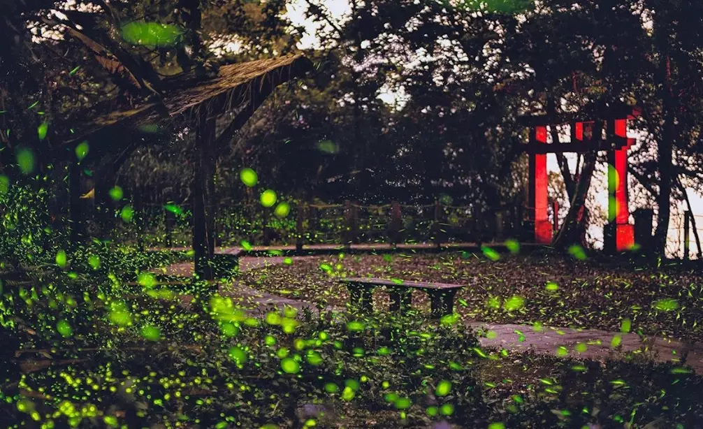 那瑪夏景點 那瑪夏景點