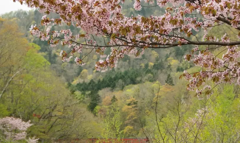 台灣散步路線 台灣散步路線