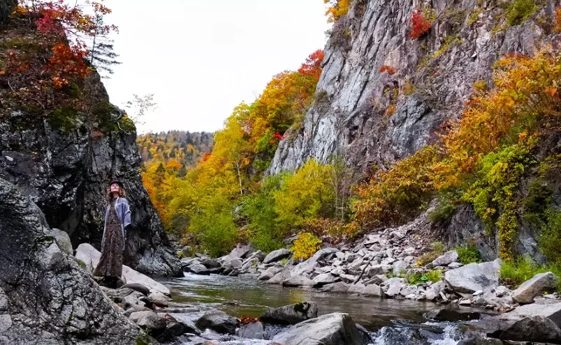 台灣散步路線 台灣散步路線
