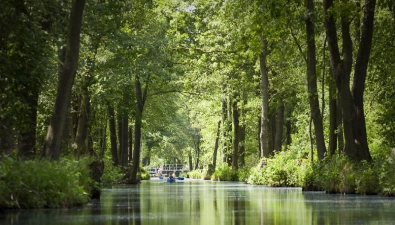 波茨坦無憂宮 波茨坦無憂宮