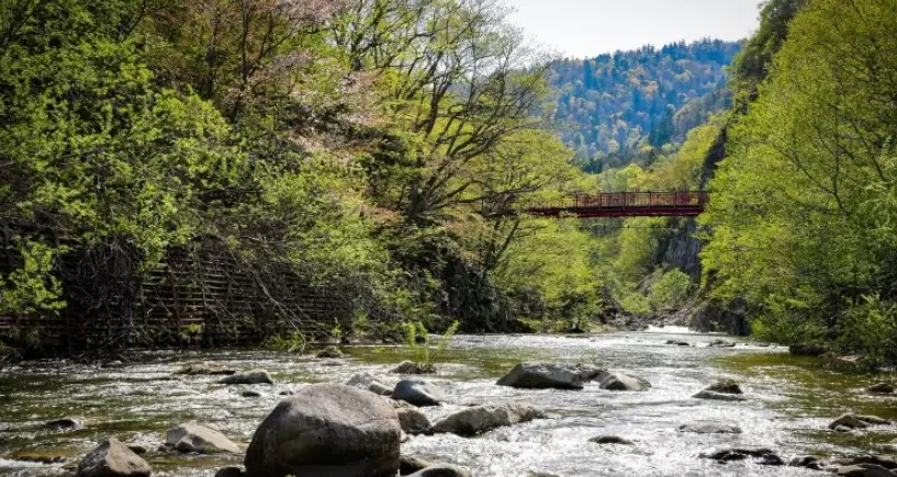 台灣散步路線 台灣散步路線