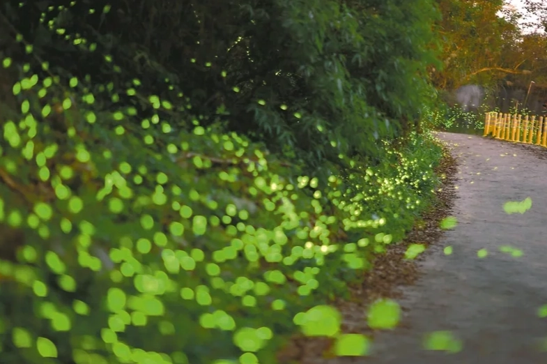 那瑪夏秘境怎麼去 那瑪夏秘境怎麼去
