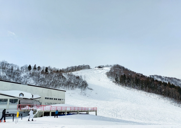 越後湯澤滑雪