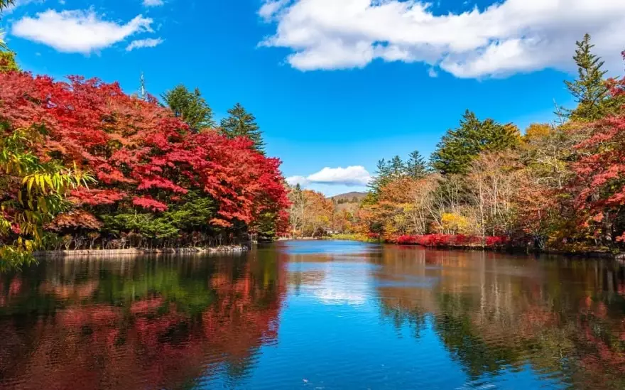 輕井澤越後湯澤哪個好玩