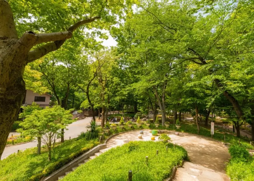 東京5天4夜行程