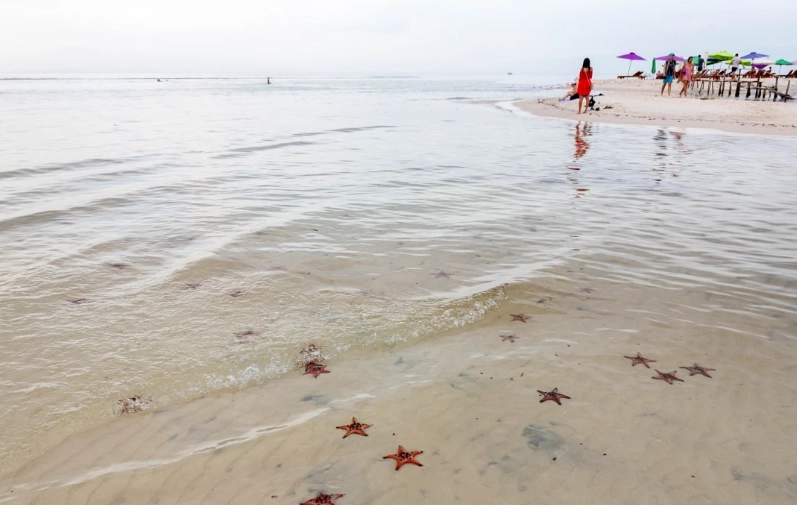 富國島旅遊季節