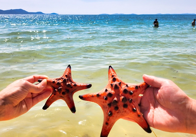 富國島海星沙灘