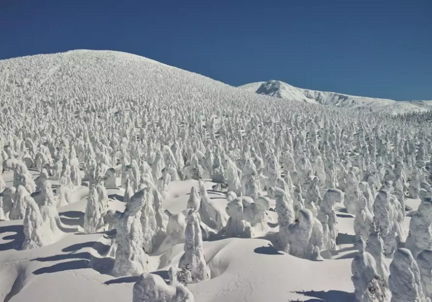 日本東北旅遊景點 日本東北旅遊景點