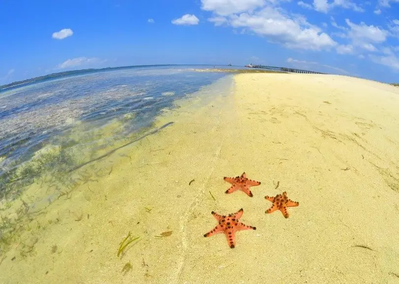 海星沙灘旅遊攻略