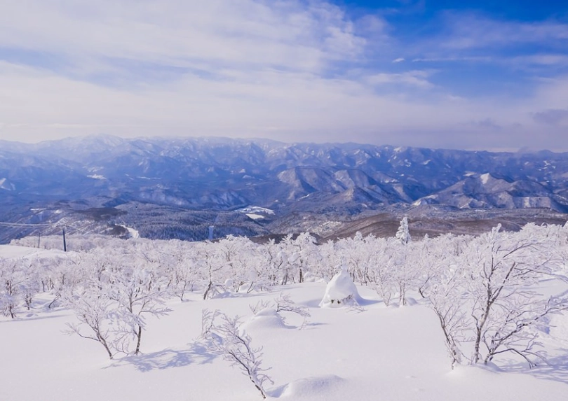 秋田 冬天 景點