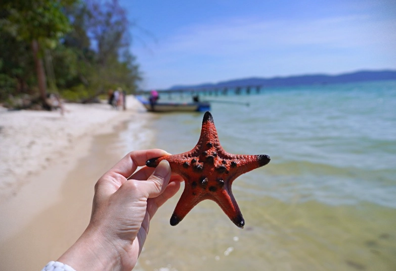 海星沙灘